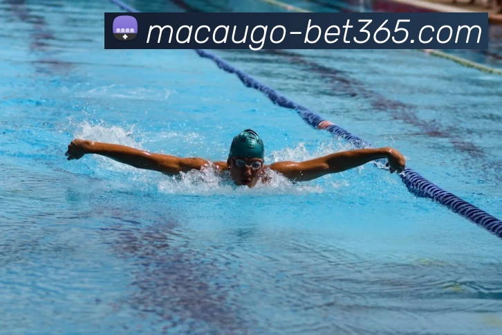 bet365平台生态图